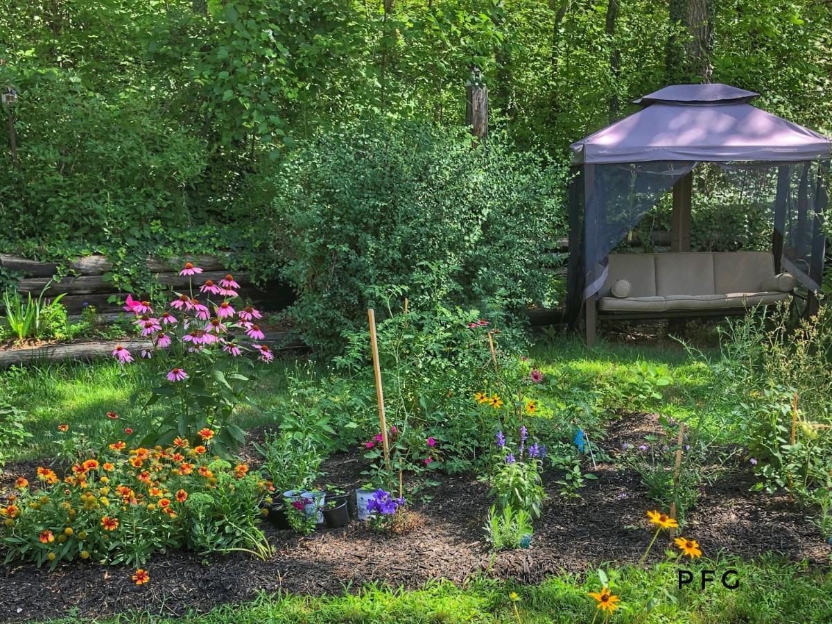 Cozy Cottage Retreat Lambton Shores Zewnętrze zdjęcie